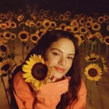 Sexo, Violencia Y Llantas