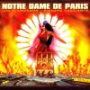 Notre-Dame de Paris (Musical)