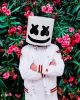 Marshmello
